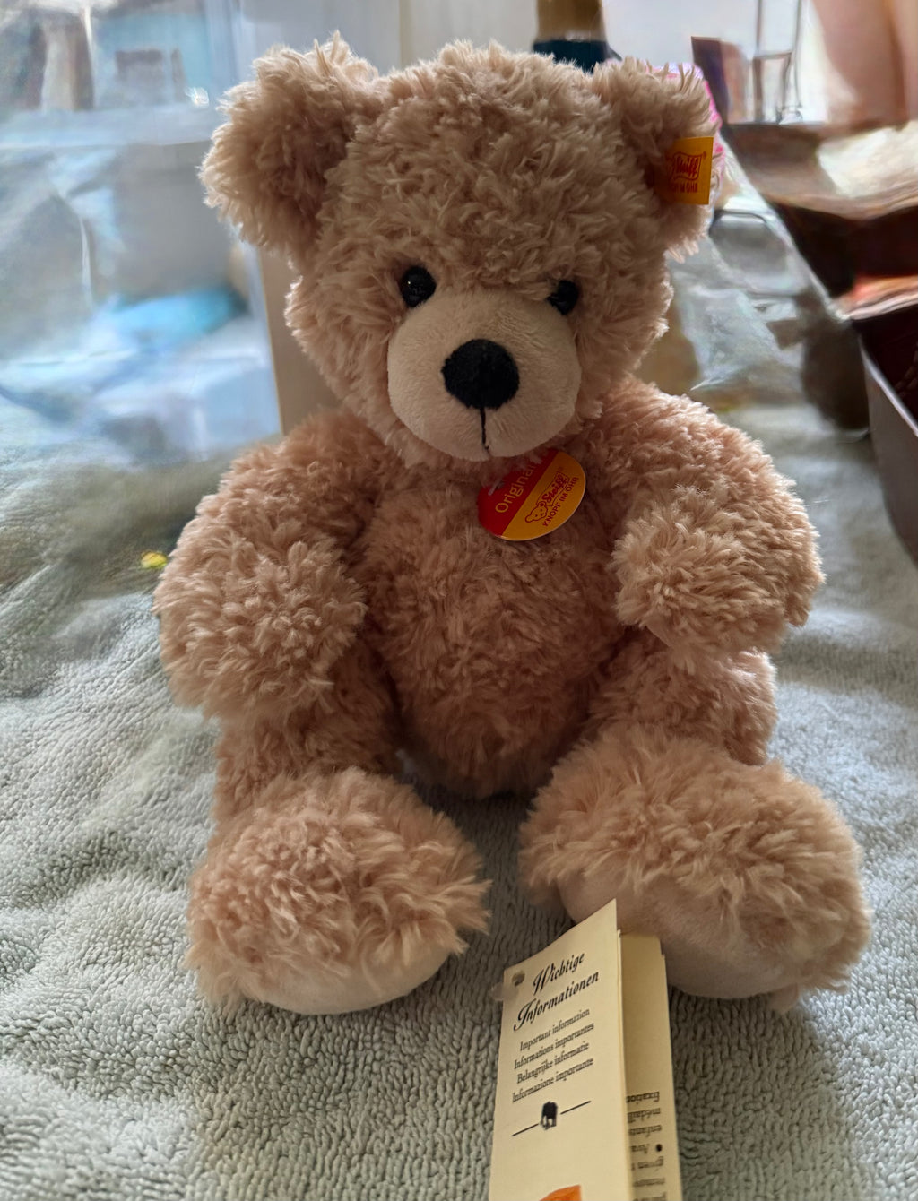 Flynn the Teddy Bear