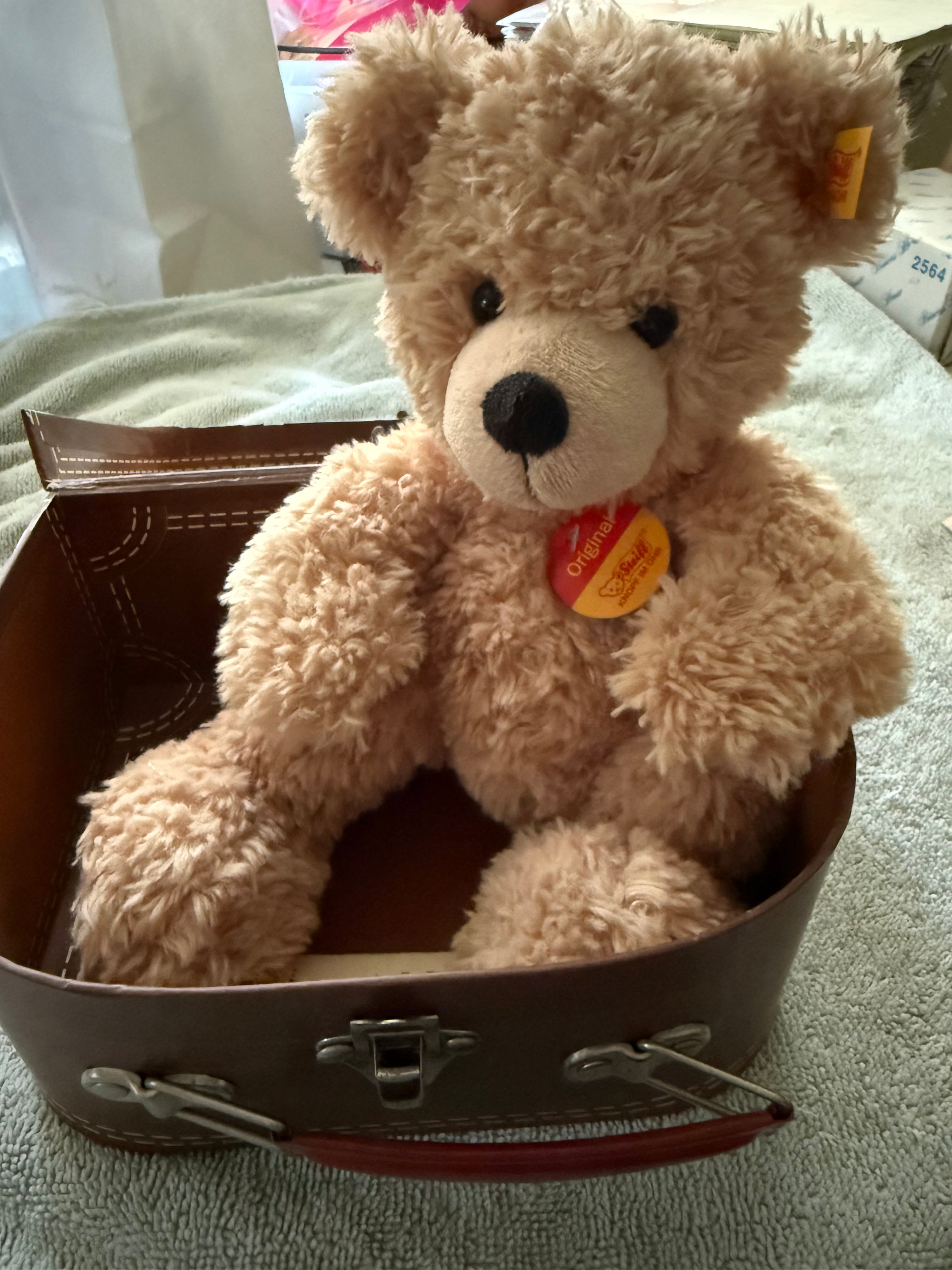Flynn the Teddy Bear